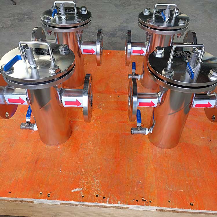 籃式過(guò)濾器-(10)